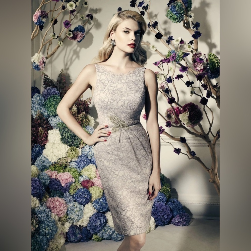 Zac Posen Truly Guipure Lace Sleeveless Special Occasion Dress in Gray Silver 2 - Picture 16 of 16